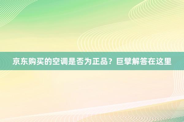 京东购买的空调是否为正品？巨擘解答在这里